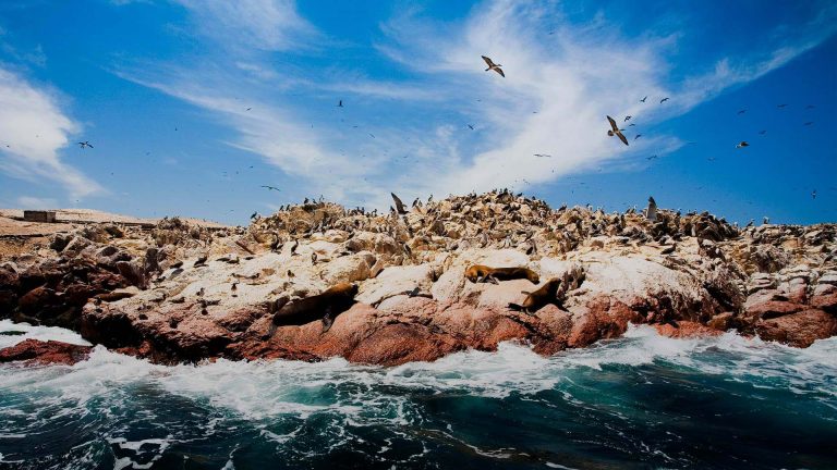 paracas-e-islas-ballestas-turismo liberty