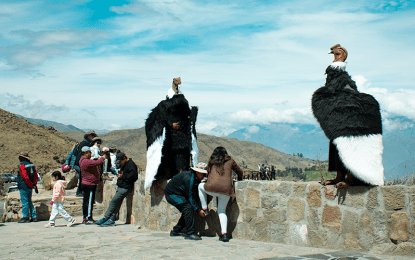 Colca Vivencial Full Day en Achoma