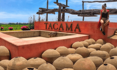 ruta del pisco en Ica con guía local