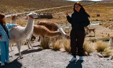Turistas interactuando con alpacas y vicuñas en el Valle del Colca-Turismo Liberty