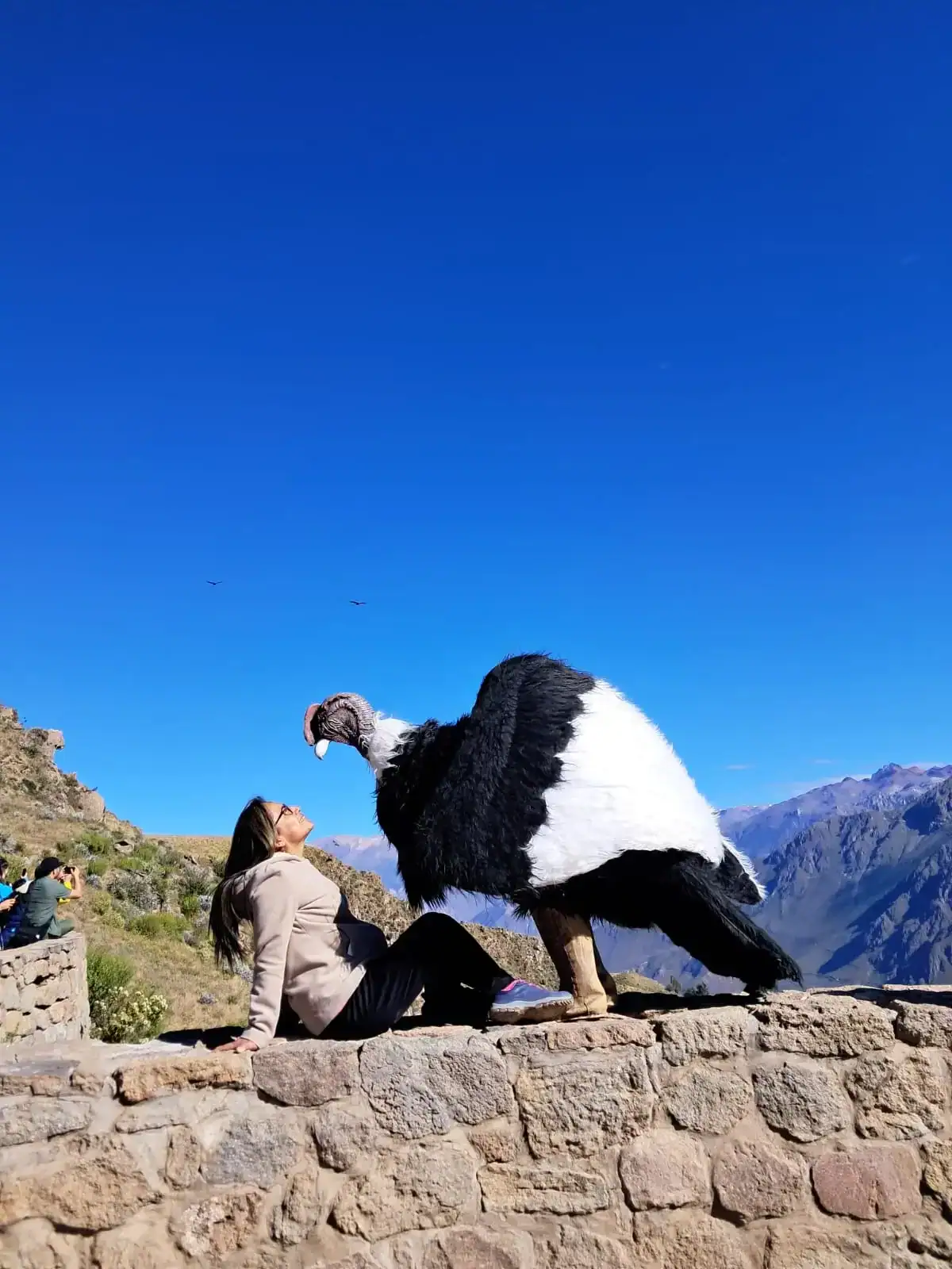Cañón del Colca-Turismo Liberty