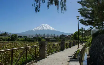 🏔️ Recommendations for Traveling to Arequipa: 4 Key Tips Before Your Visit