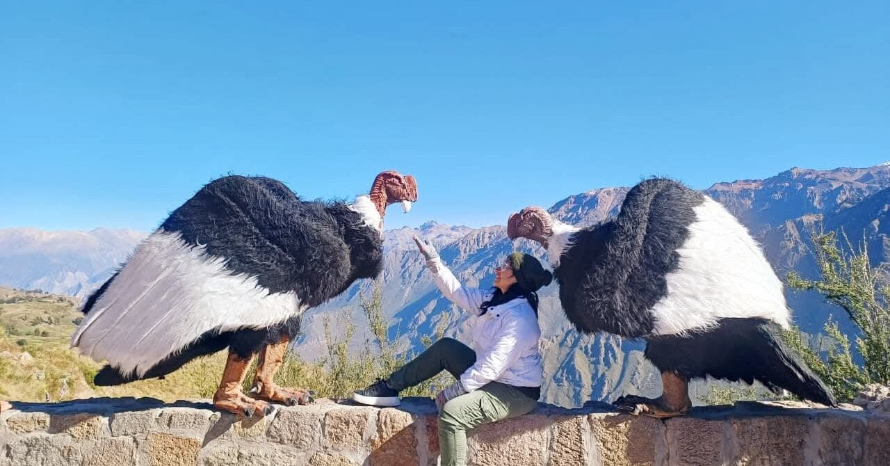 Cañón del Colca desde Arequipa: precios, tours y entradas 2026