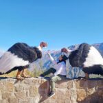 Cañón del Colca desde Arequipa: precios, tours y entradas 2026