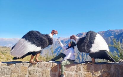 Cañón del Colca desde Arequipa: precios, tours y entradas 2026