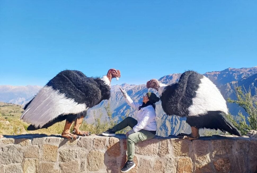 Cañón del Colca desde Arequipa: precios, tours y entradas 2026