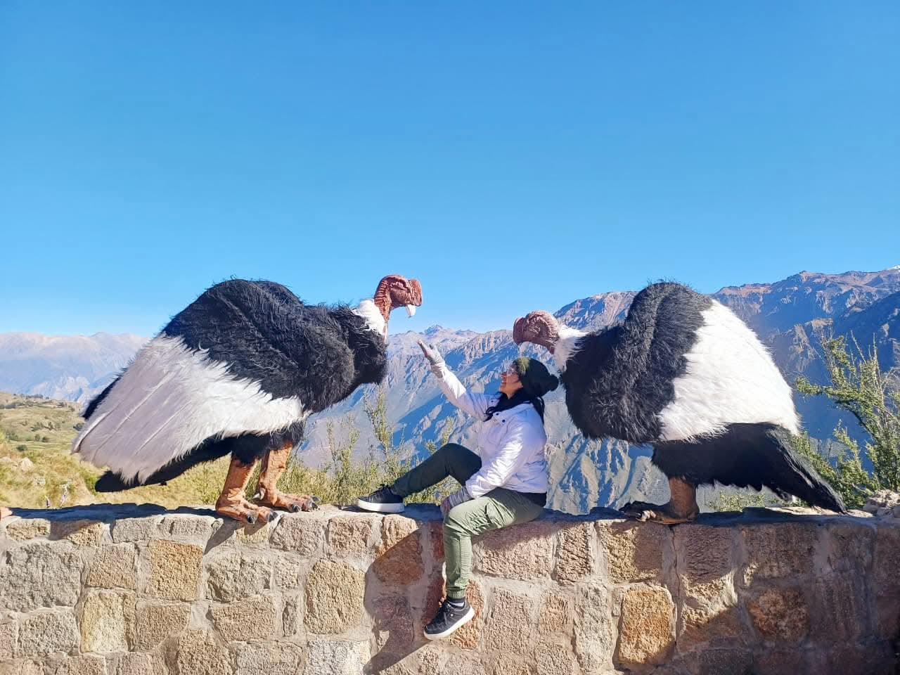 Cañón del Colca desde Arequipa: precios, tours y entradas 2026