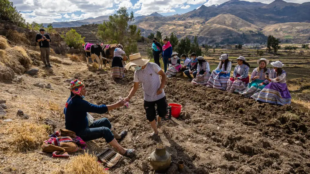 tours arequipa cañon del colca 2026
