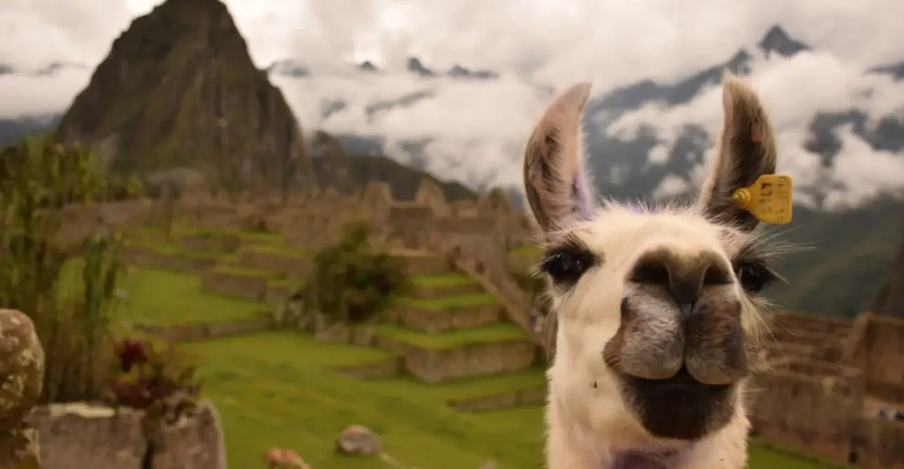 Perú en 2026: todo lo que necesitas saber antes de viajar por primera vez
