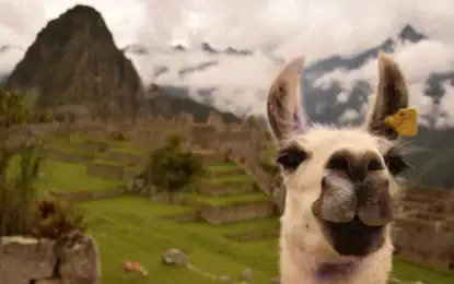 Perú en 2026: todo lo que necesitas saber antes de viajar por primera vez