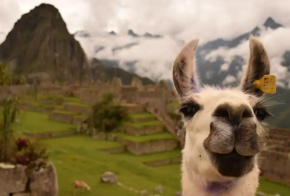 viaja a peru, turismo 2026 peru