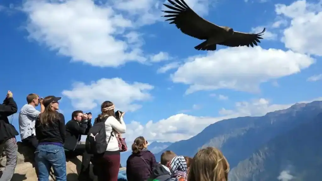 consejos para evitar el mal de altura en arequipa