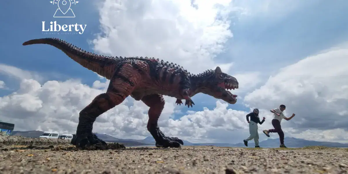 Salar Laguna de Salinas Arequipa temporada seca 2026 — Turismo Liberty