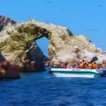 tours ica paracas 2026