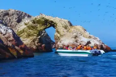 tours ica paracas 2026