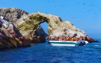 Islas Ballestas 2026: precio, qué ver y cómo llegar desde Lima