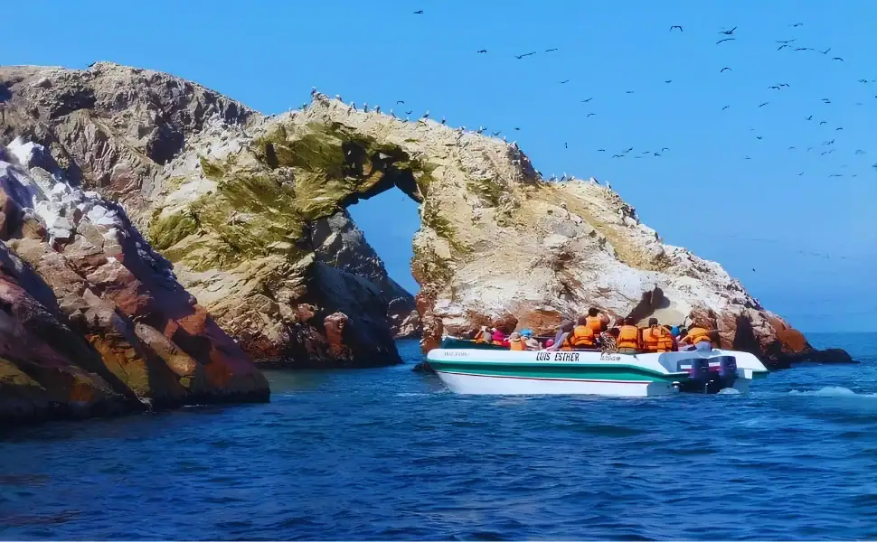 tours ica paracas 2026