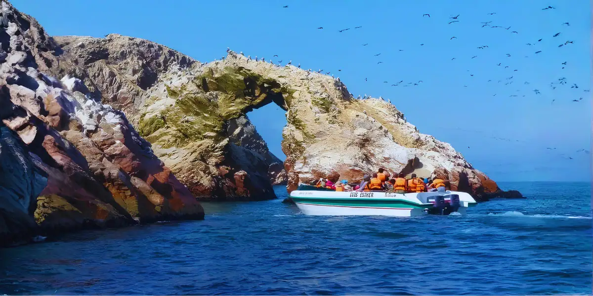 tours ica paracas 2026