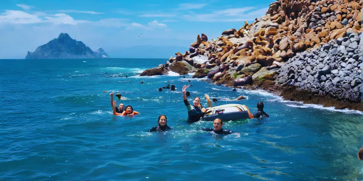 Islas Ballestas Paracas 2026 — Turismo Liberty