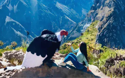 Colca en temporada de lluvias 2026-2027 y El Niño: ¿es seguro?