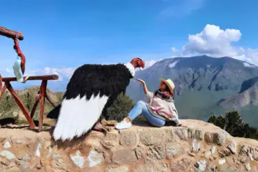 viaje individual a arequipa