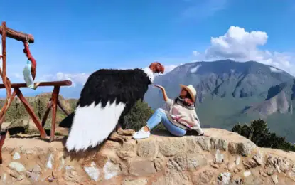 Viajar solo a Arequipa 2026: tours en grupo, seguridad y costos